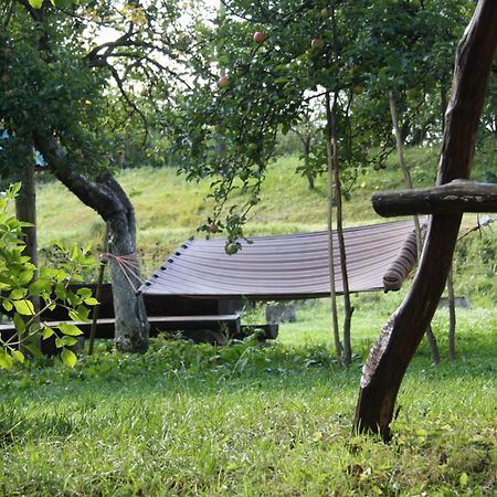 ז'דנייבו Садиба Під Гострою מראה חיצוני תמונה